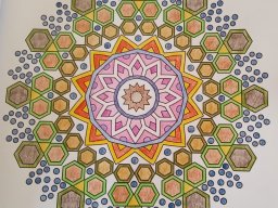 whatsapp bild 2023-08-11 um 17.56.33